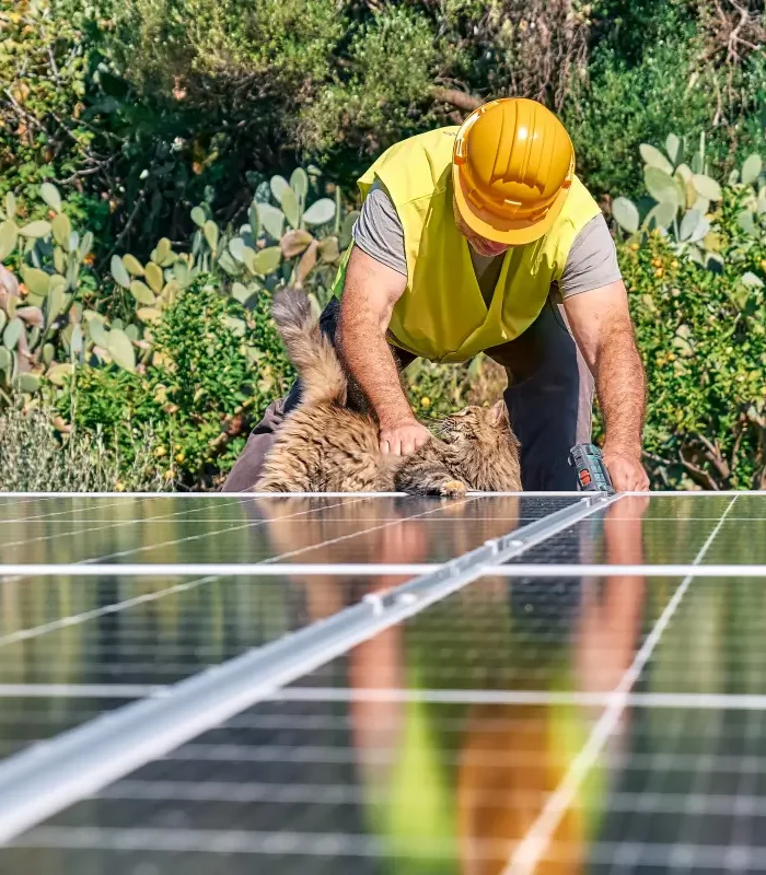 repowering-photovoltaique-rentabilit