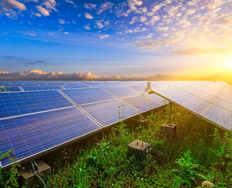 repowering-solaire-valoriser-existant-optimiser-futur